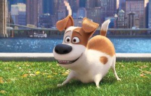 Peeking At 'The Secret Life Of Pets', See the Famous Voices Behind 'The Secret Life of Pets' 